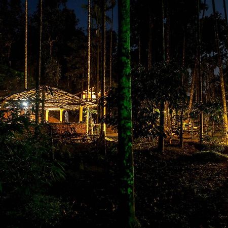 Wooden Cottages Glen Wayanad Meppādi Dış mekan fotoğraf