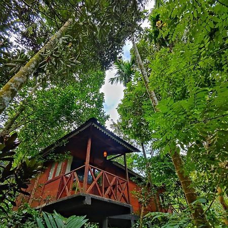 Wooden Cottages Glen Wayanad Meppādi Dış mekan fotoğraf