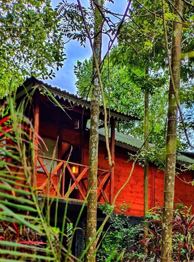 Wooden Cottages Glen Wayanad Meppādi Dış mekan fotoğraf
