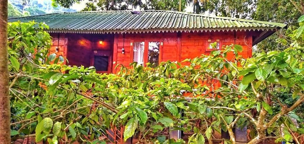 Wooden Cottages Glen Wayanad Meppādi Dış mekan fotoğraf