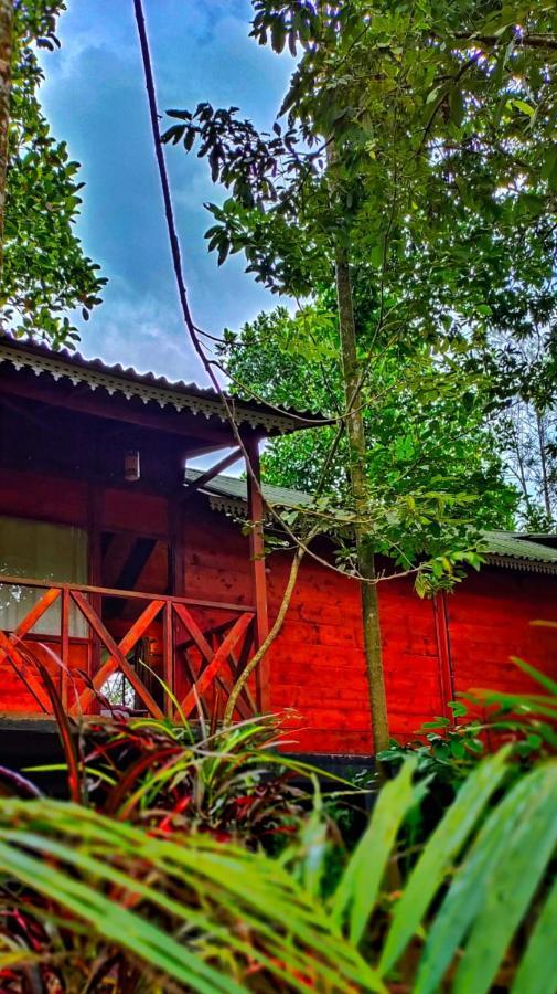Wooden Cottages Glen Wayanad Meppādi Dış mekan fotoğraf