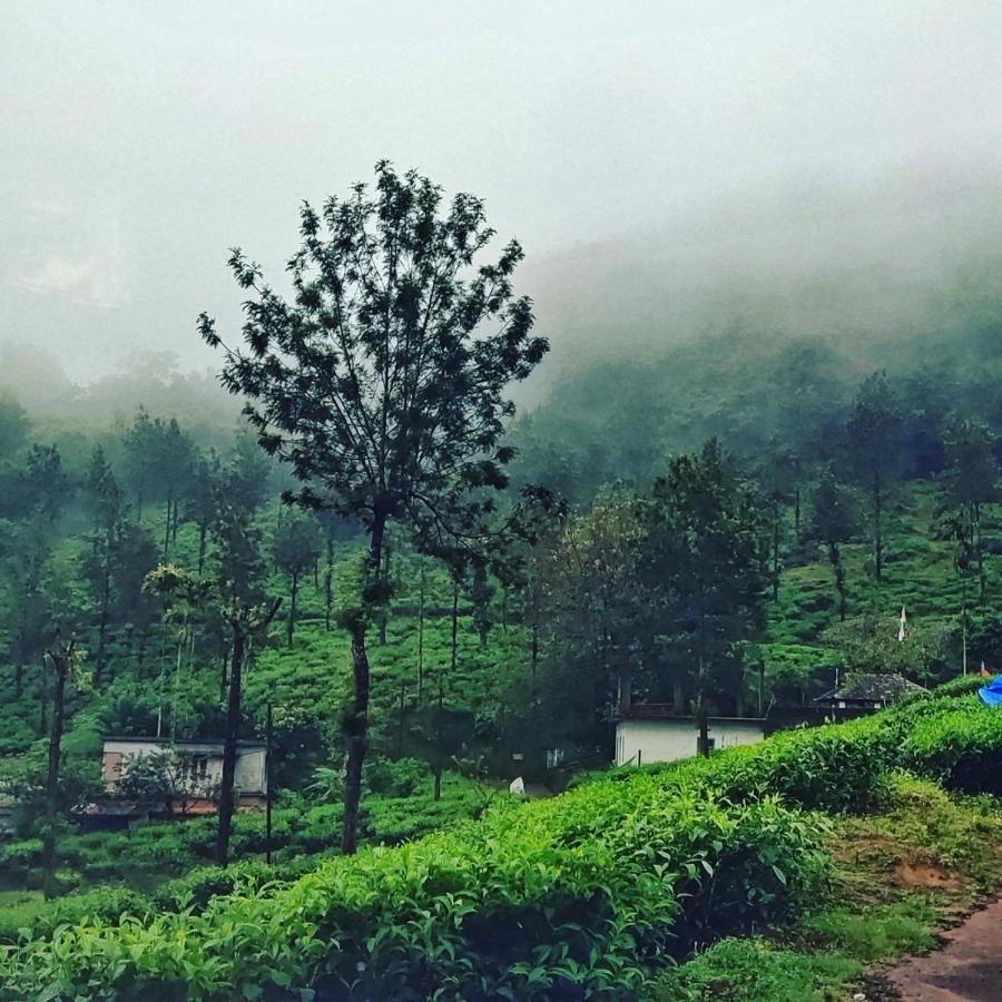 Wooden Cottages Glen Wayanad Meppādi Dış mekan fotoğraf