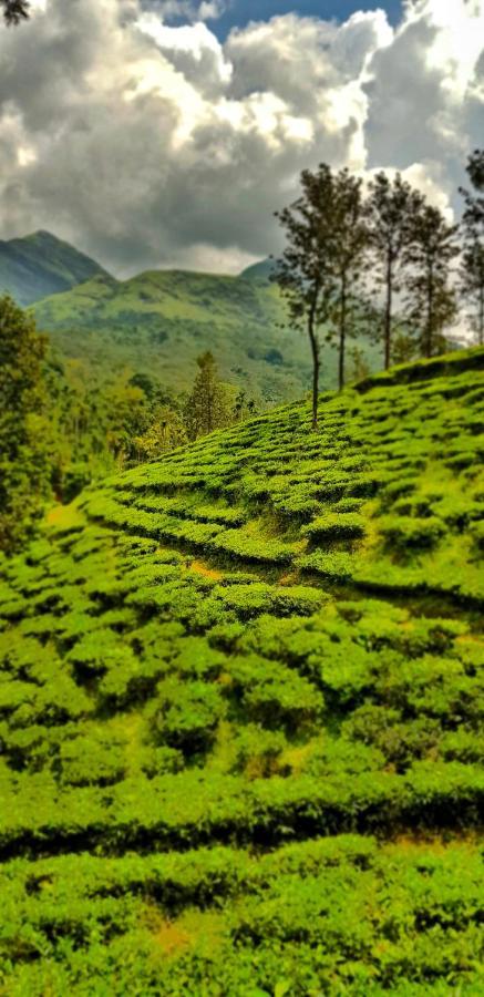 Wooden Cottages Glen Wayanad Meppādi Dış mekan fotoğraf