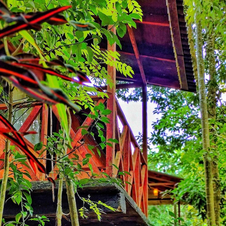 Wooden Cottages Glen Wayanad Meppādi Dış mekan fotoğraf