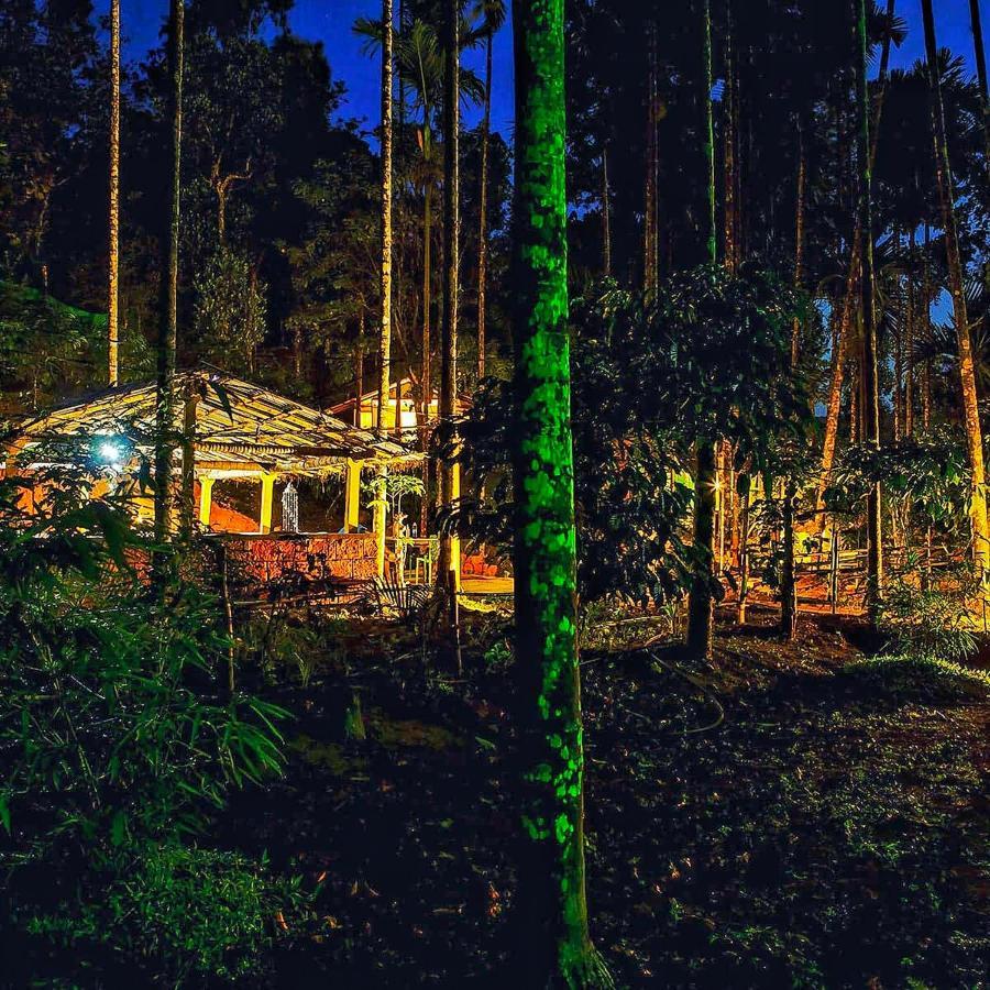 Wooden Cottages Glen Wayanad Meppādi Dış mekan fotoğraf
