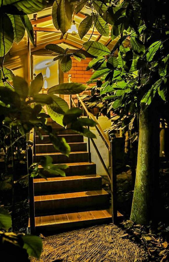 Wooden Cottages Glen Wayanad Meppādi Dış mekan fotoğraf