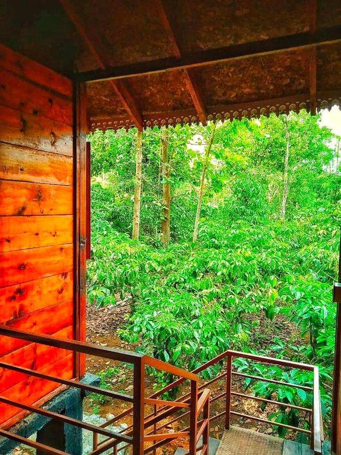 Wooden Cottages Glen Wayanad Meppādi Dış mekan fotoğraf