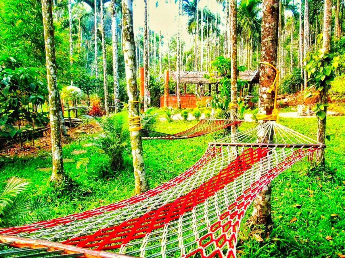 Wooden Cottages Glen Wayanad Meppādi Dış mekan fotoğraf