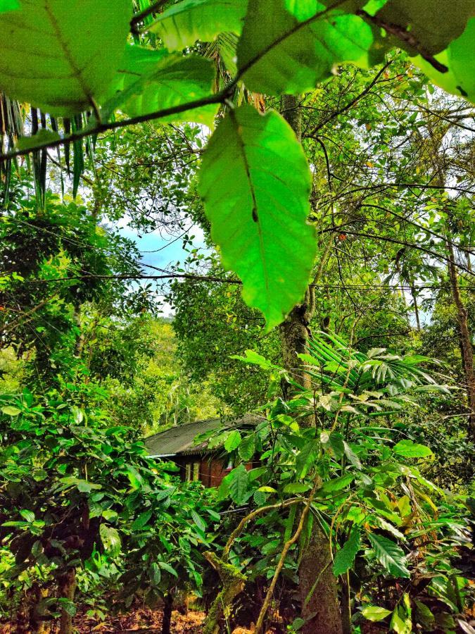 Wooden Cottages Glen Wayanad Meppādi Dış mekan fotoğraf