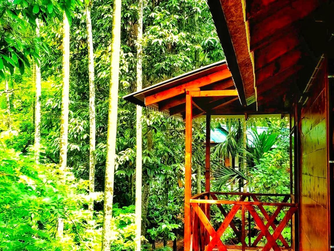 Wooden Cottages Glen Wayanad Meppādi Dış mekan fotoğraf