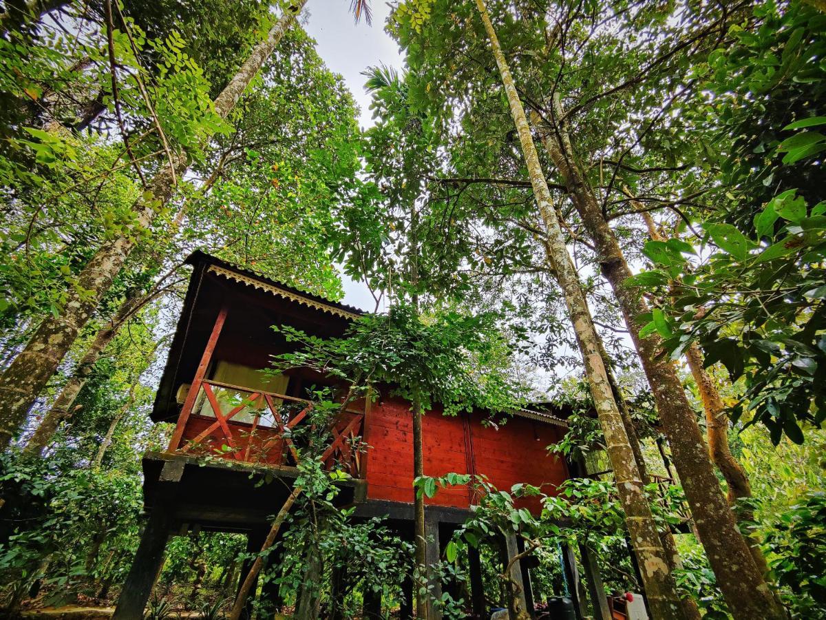 Wooden Cottages Glen Wayanad Meppādi Dış mekan fotoğraf