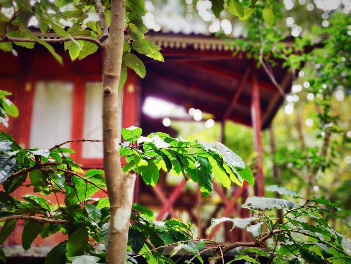 Wooden Cottages Glen Wayanad Meppādi Dış mekan fotoğraf