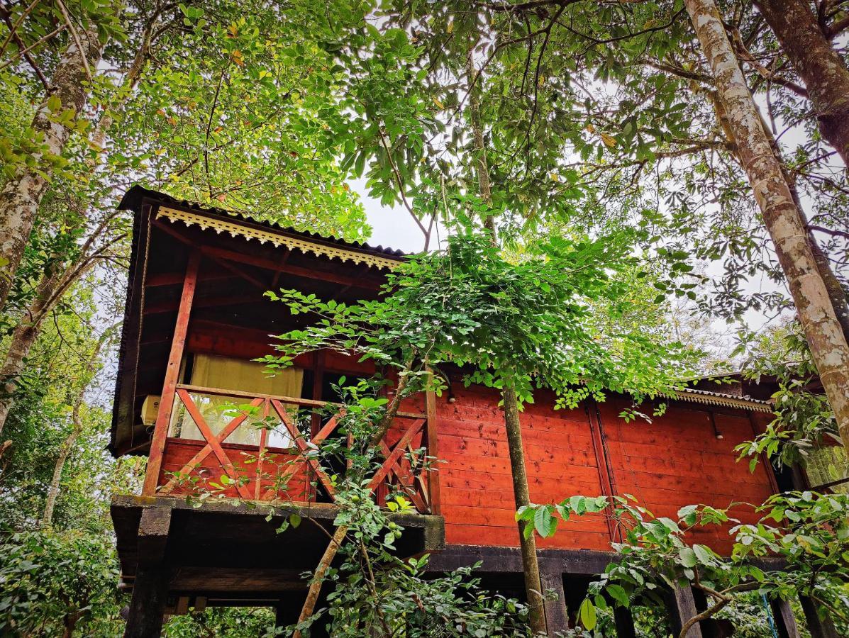 Wooden Cottages Glen Wayanad Meppādi Dış mekan fotoğraf