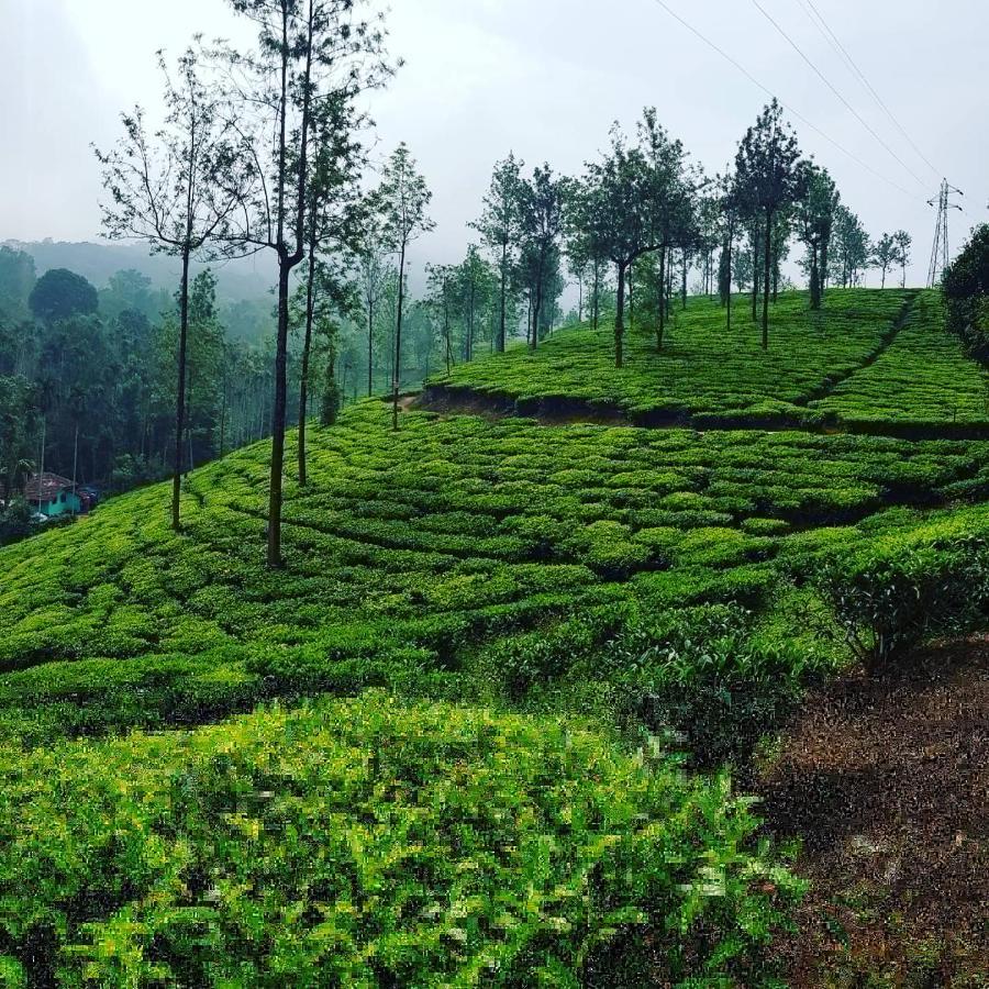 Wooden Cottages Glen Wayanad Meppādi Dış mekan fotoğraf