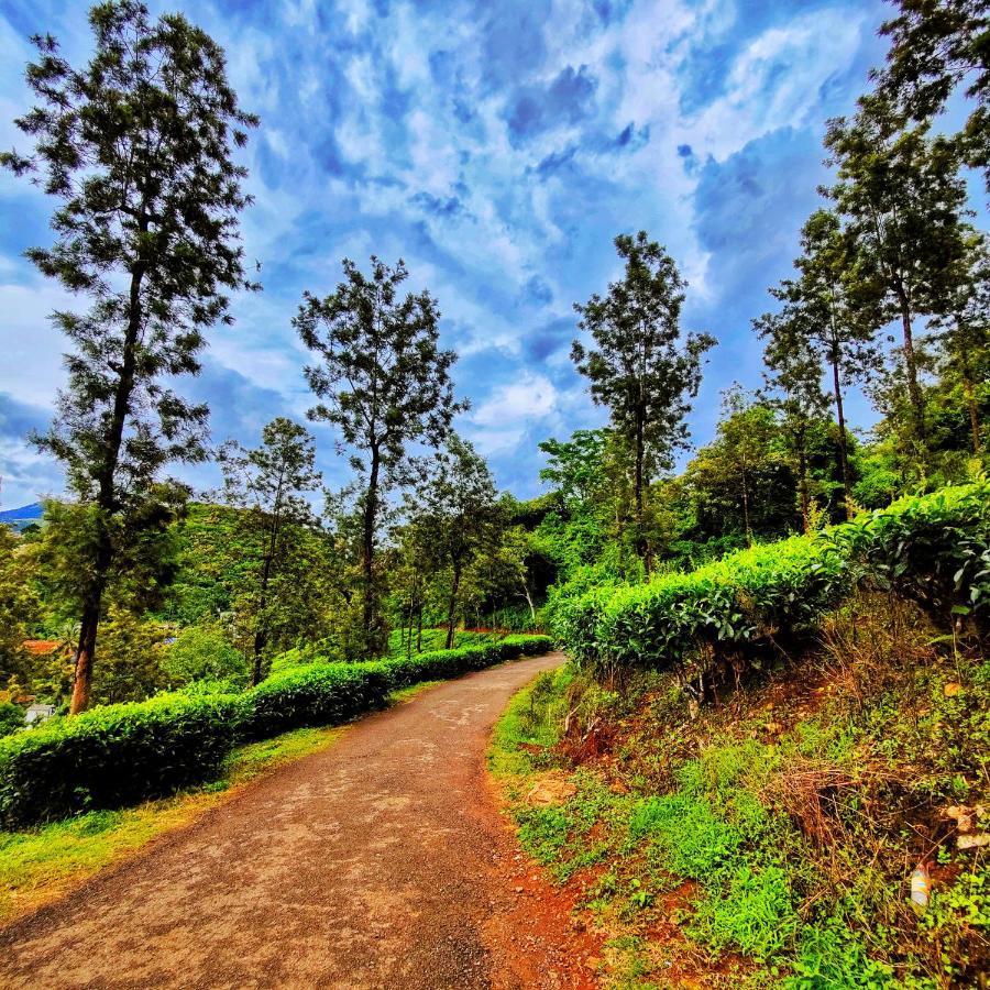 Wooden Cottages Glen Wayanad Meppādi Dış mekan fotoğraf