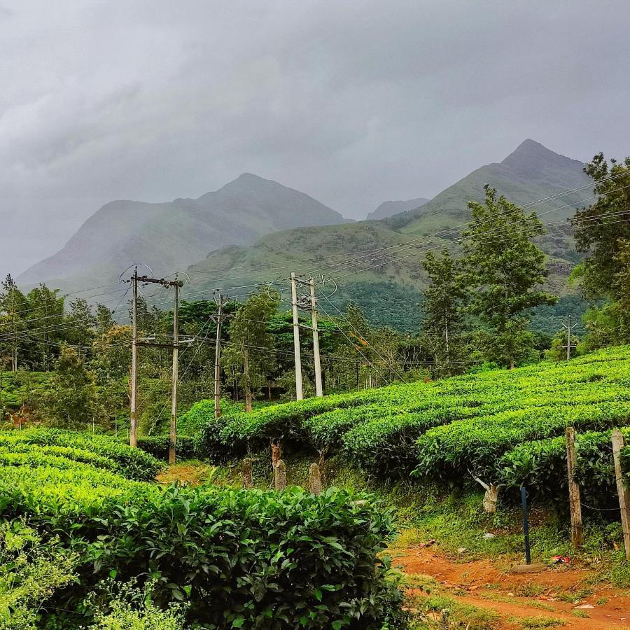 Wooden Cottages Glen Wayanad Meppādi Dış mekan fotoğraf