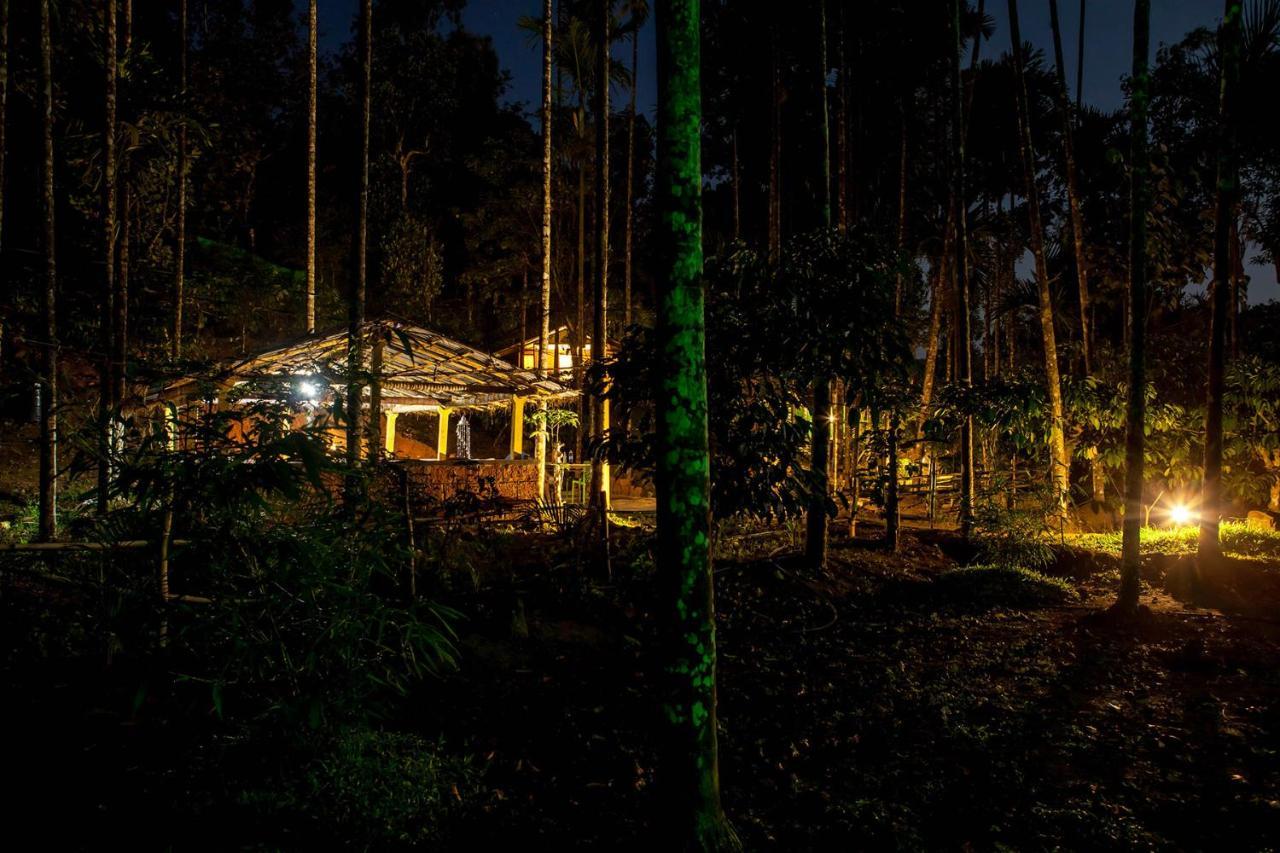 Wooden Cottages Glen Wayanad Meppādi Dış mekan fotoğraf