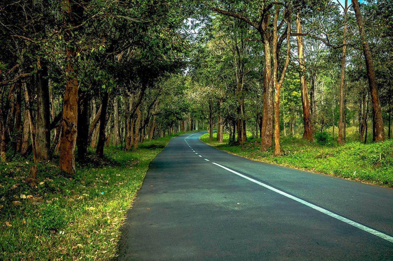 Wooden Cottages Glen Wayanad Meppādi Dış mekan fotoğraf