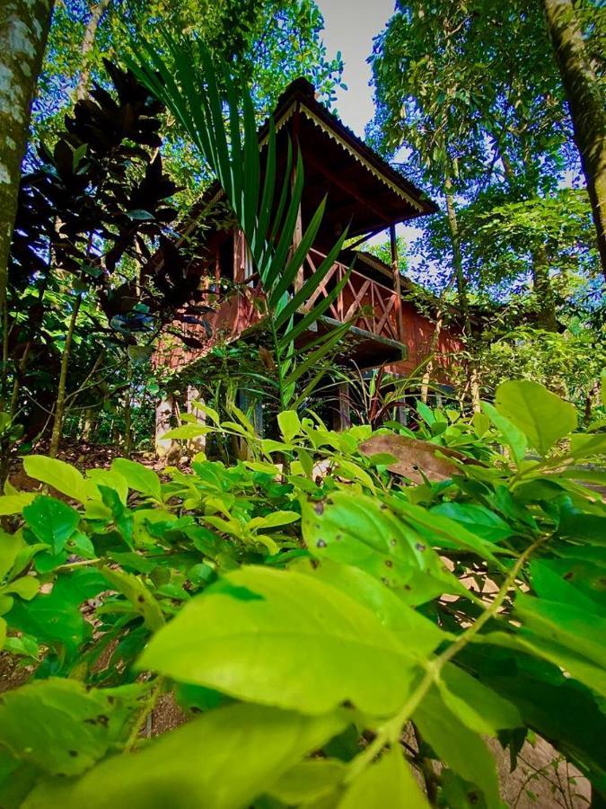 Wooden Cottages Glen Wayanad Meppādi Dış mekan fotoğraf