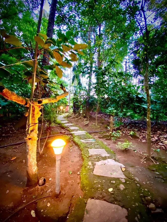 Wooden Cottages Glen Wayanad Meppādi Dış mekan fotoğraf