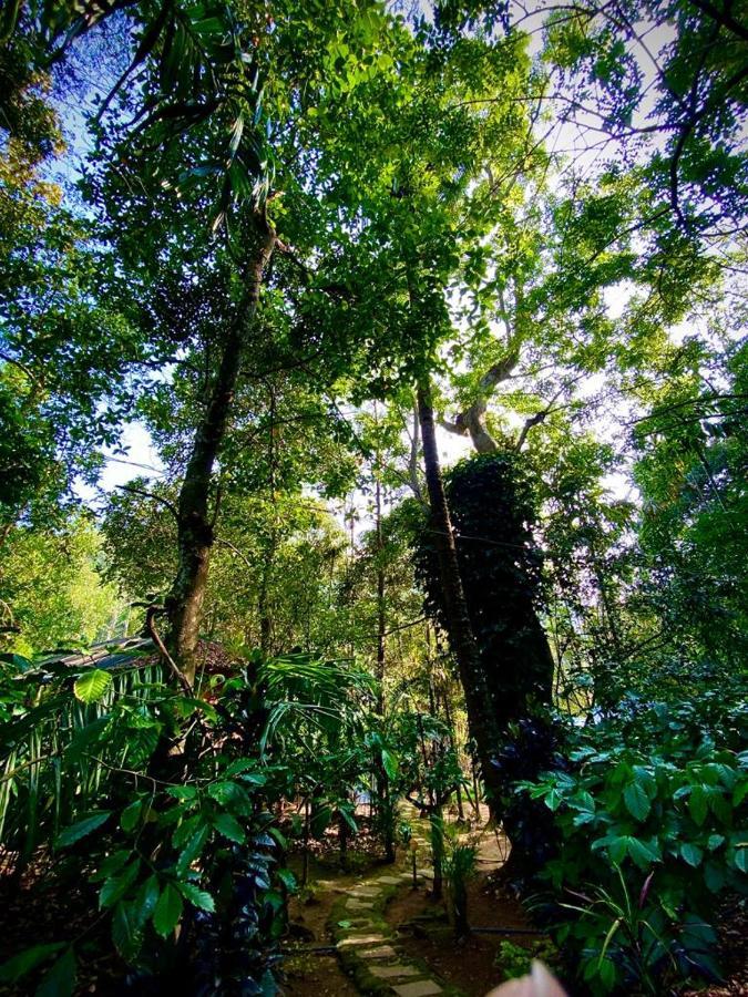 Wooden Cottages Glen Wayanad Meppādi Dış mekan fotoğraf