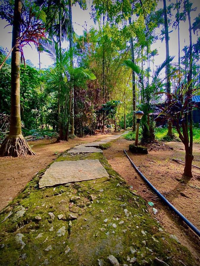 Wooden Cottages Glen Wayanad Meppādi Dış mekan fotoğraf