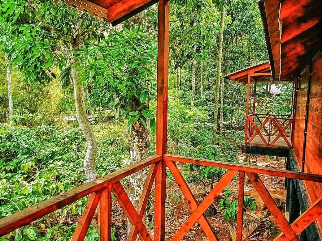 Wooden Cottages Glen Wayanad Meppādi Dış mekan fotoğraf