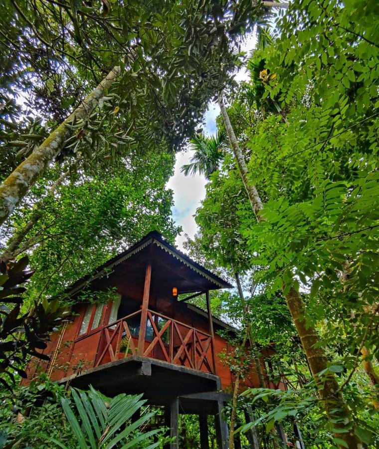 Wooden Cottages Glen Wayanad Meppādi Dış mekan fotoğraf