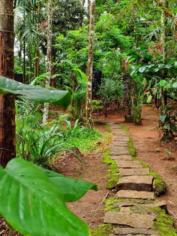 Wooden Cottages Glen Wayanad Meppādi Dış mekan fotoğraf